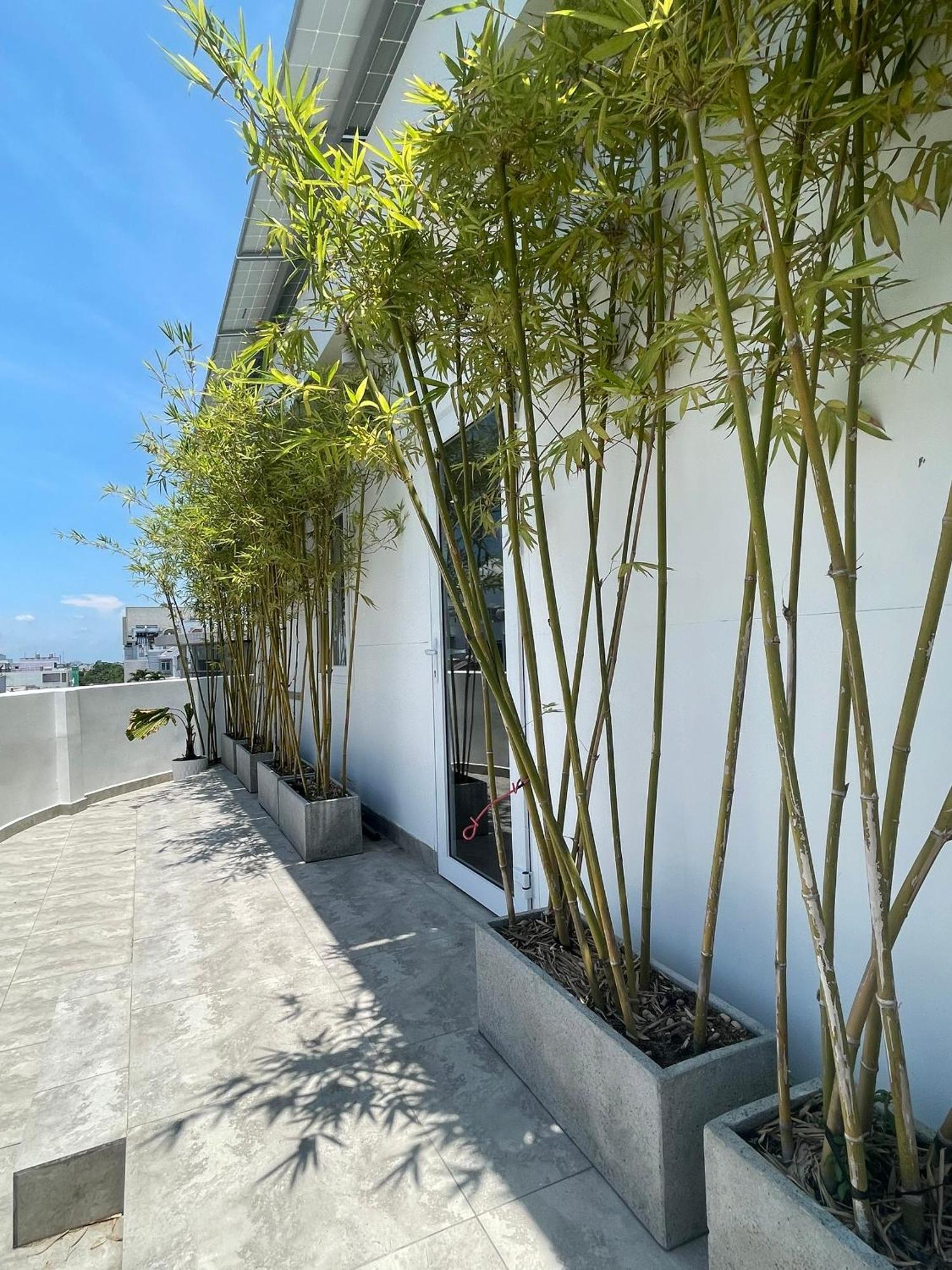 The Ck Hotel Chau Doc Buitenkant foto